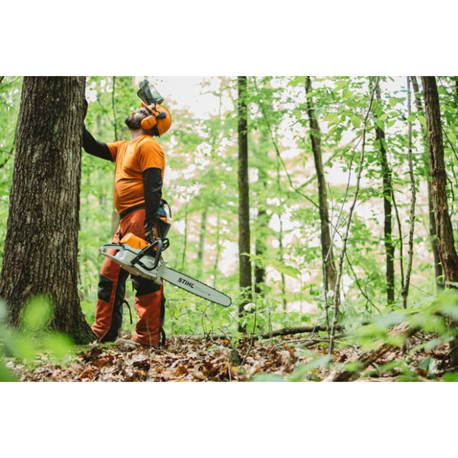 STIHL MS 462 Professional Chainsaw with 25 Inch bar and chain