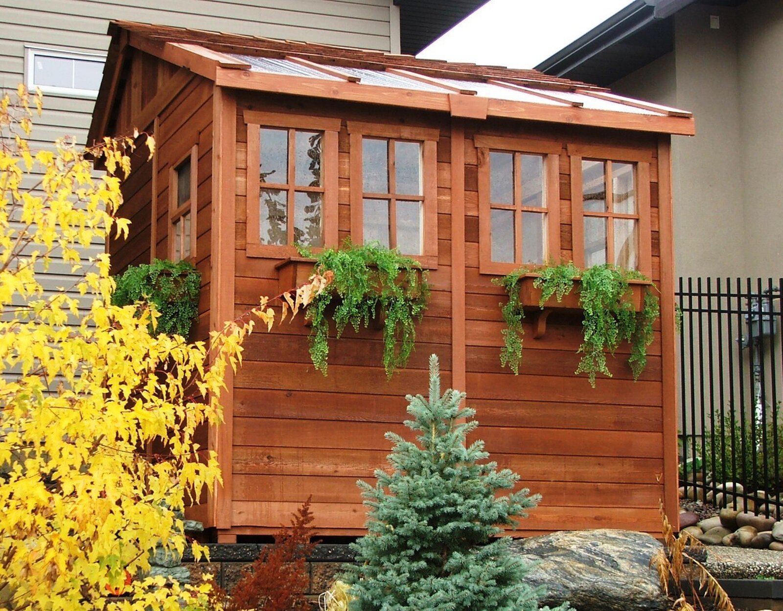 【Storage Shed】8x8 ft Cedar Wood Sunshed Garden Shed