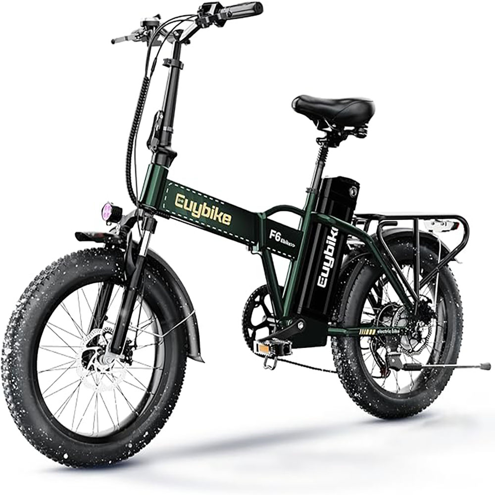 1000W, 48V 20AH Large Removable Battery E Bike