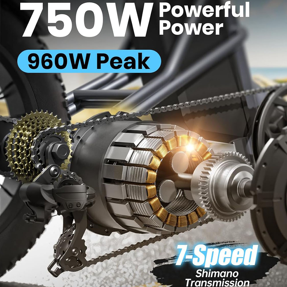 Electric Trike for Adult with 750W Motor, 48V 18AH Cells Battery, Pickup Class 500 LB Load Electric Tricycle