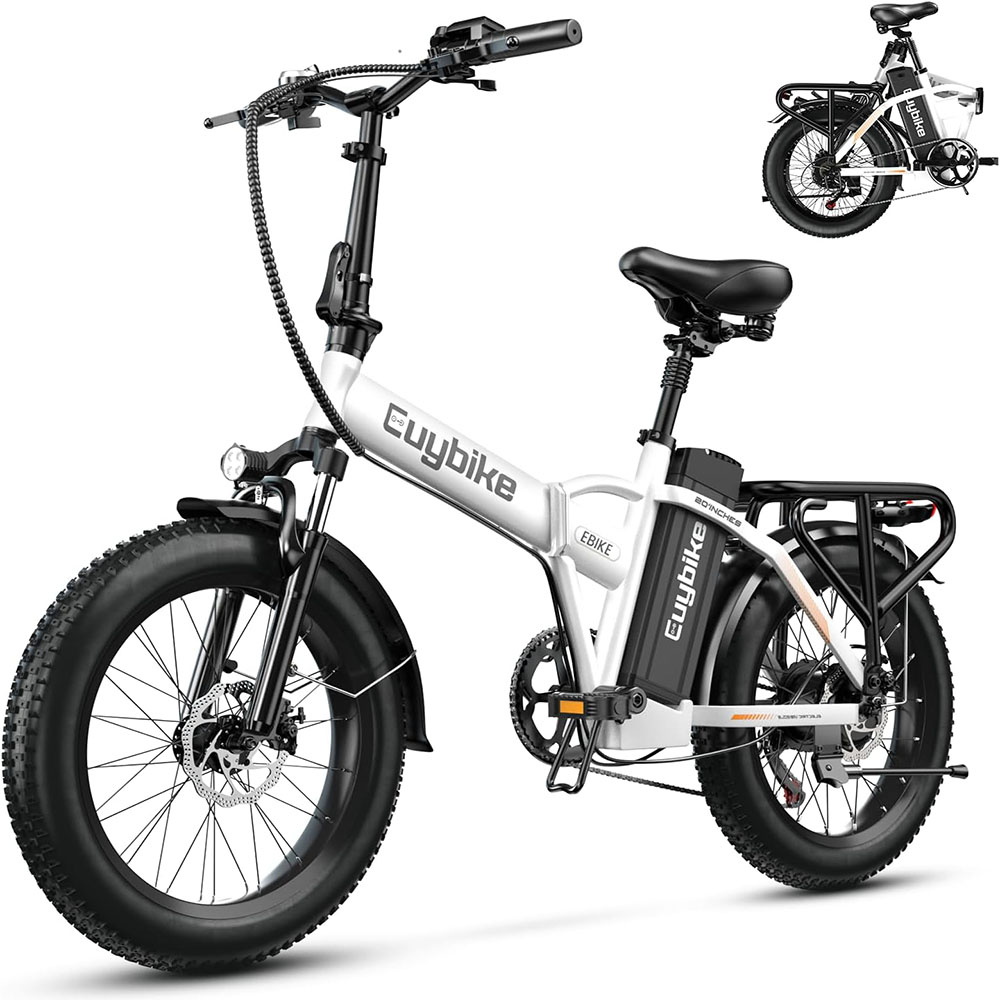 1000W, 48V 20AH Large Removable Battery E Bike