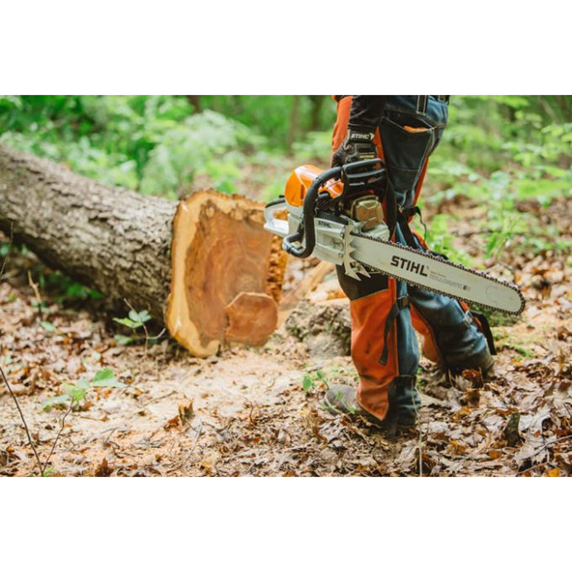 STIHL MS 462 Professional Chainsaw with 25 Inch bar and chain