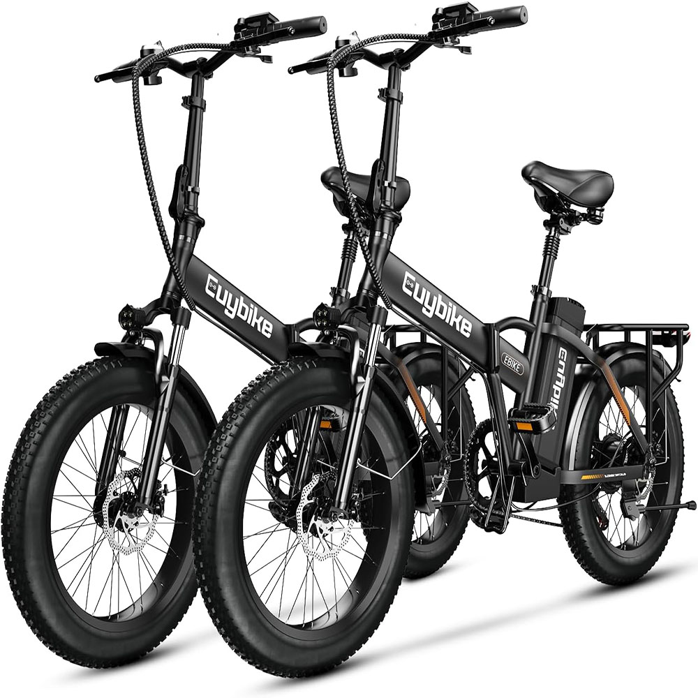 1000W, 48V 20AH Large Removable Battery E Bike