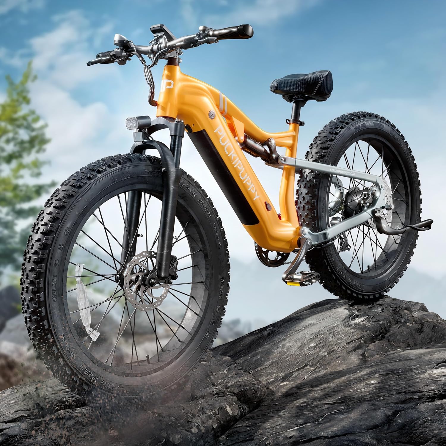 Electric Bike for Adults 1000W